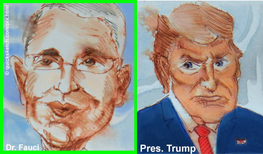 quicksketch political and editorial cartoons pandemic caricatures of Dr. Fauci and President Donald Trump zoom meeting people in the news 2020