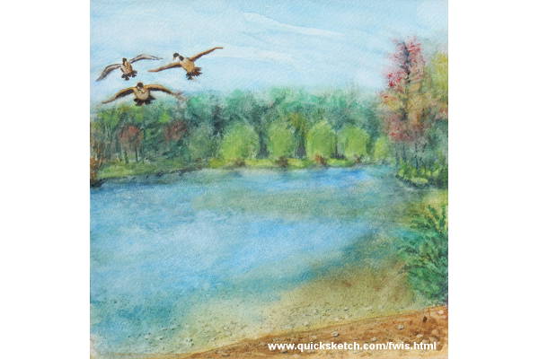 plain air watercolor canadian geese flying over lake ready to land watercolor landscape painting summer scene watercolor painting autumn landscape from where i stand Affordable fine art prints for sale custom paintings by marty macaluso artist website