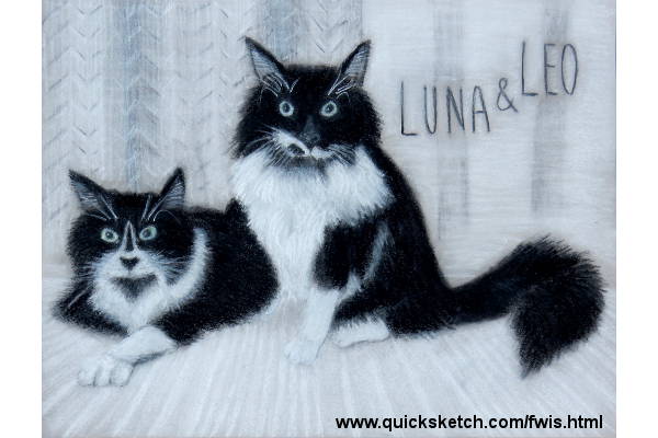 pet portrait pastel of two cats with background luna and leo tuxedo cats cat pet portraits pet portrait artist pair of cats kitten art fuffy cats fluffy kitties from where i stand Affordable fine art prints and custom paintings by marty macaluso artist website
