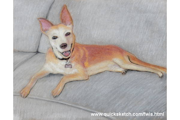 pastel pet portrait happy dog on a couch dog pet portraits pet portrait artist dog that looks like a dingo from where i stand Affordable fine art prints and custom paintings by marty macaluso artist website