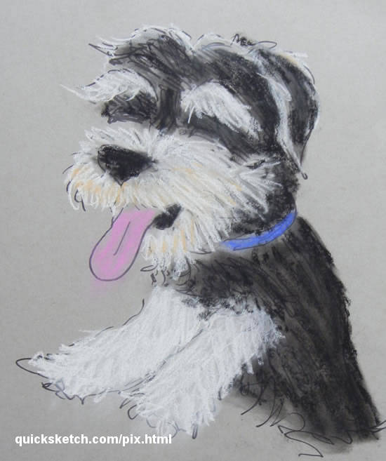 pastel pet caricature of a cute little dog gift caricatures from photos Characatures by Marty